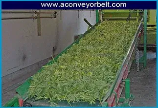 Textile Conveyor Belt Gujarat