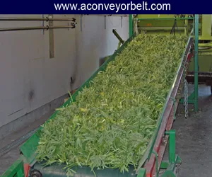 agriculture-conveyors