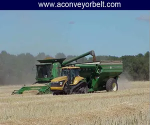 conveyor-belt-agriculture