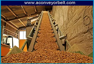 Wood conveying Belt System