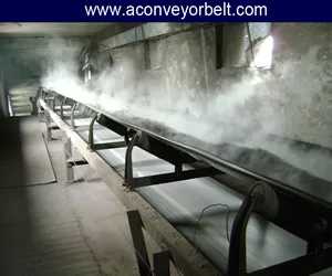 conveyor-belt-for-chemical