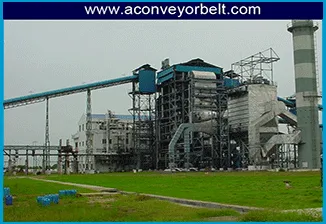 Sugar Conveying Belt